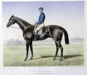 Équitation : Pretender, vainqueur du derby anglais
