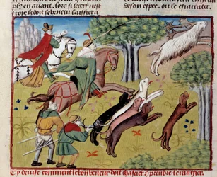 Comment chasser le cerf miniature du "Livre de la chasse" de Gaston III Phoebus, Comte de Foix, Seigneur de Béarn (1331-1391)