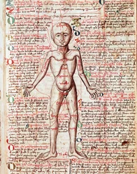Corps humain. Gravure tirée du « Tractatus de pestilentia », XVe siècle - Prague, Bibliothèque nationale