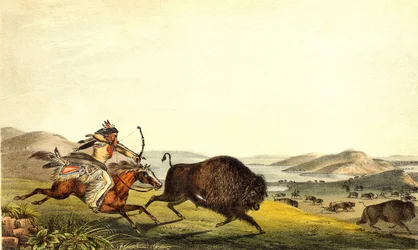 Chasse au bison en Amérique du Nord. XIXe siècle.
