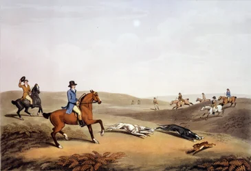 Scène de chasse en Angleterre. Gravure du 19ème siècle. Gien, musée de la chasse