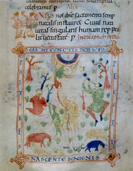Page illuminée de moutons et de bergers, partie du Codex de Varmondo, c.1000