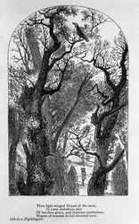 Illustration pour « Ode à un rossignol » du poète John Keats (1795-1821) 19ème siècle