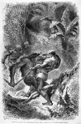 Illustration publiée dans l