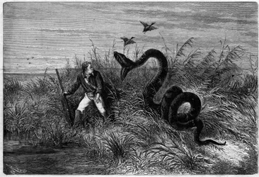 Incident dans la savane lors d