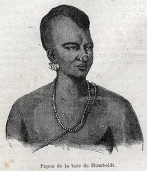 Peuples indigènes de Nouvelle-Guinée : Papou de la baie de Humboldt. Gravure dans "L