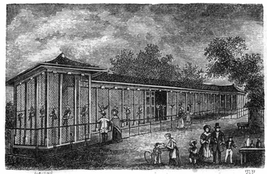 Jardin des Plantes à Paris en 1861 : fauconnerie