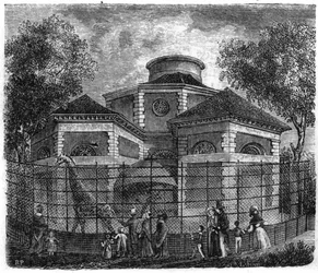 Jardin des Plantes à Paris en 1861 : rotonde des éléphants et des girafes