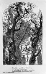 John Keats : Ode à un rossignol