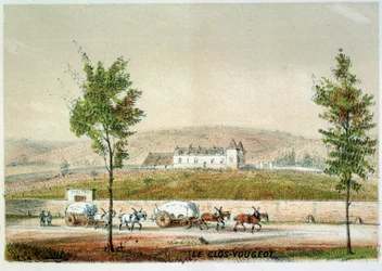 Le clos Vougeot, vignoble de la Côte d