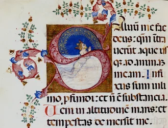 Lettrine S : David dans la lumière profonde - Antiphonaire du 15ème siècle. Bibliothèque Municipale de Rimini