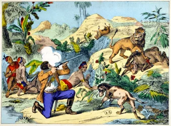 Chasse au lion en Afrique australe. Gravure du 19ème siècle.