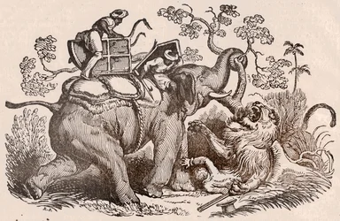 Scène de chasse au lion : le chasseur, tombe de l