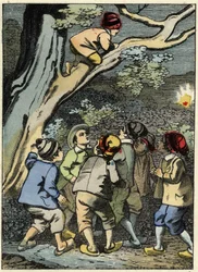 Le Petit Poucet grimpe sur un arbre et cherche son chemin. Il ramasse une lumière dans la forêt. Illustration du conte de Charles Perrault "Le Petit Poucet"