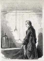 Luigi Galvani provoque des contractions de grenouille par l