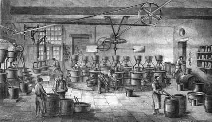 Fabrication de moutarde et de conserves chez Louit frères à Bordeaux. Gravure de 1865
