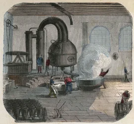 Fabrication de sucre dans une usine. Illustration du 19ème siècle. Collection Bianchetti