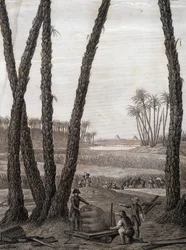 Memphis, vue des ruines (scientifiques et artistes au travail) - dans « Description de l