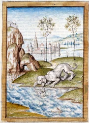 Animaux miniatures d