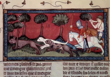 Chasse au renard miniature du manuscrit fr. 1297