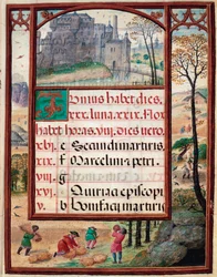 Mois de juin : paysage et moissons. Paysans au travail