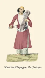 Musicien jouant du Saringee