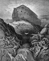 Noé envoie une colombe sur Terre, selon la Genèse. Gravure du 19ème siècle