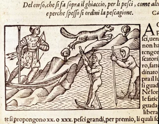 Chasseurs norvégiens se déplaçant à skis. Gravure d