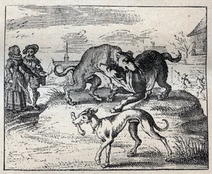 Vieux proverbe anglais : deux chiens se battent pour un os et le troisième l