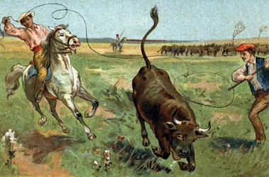 Ancienne coutume célébrée dans la région de Provence : la ferrade en Camargue. Chromolithographie de la fin du XIXe siècle.