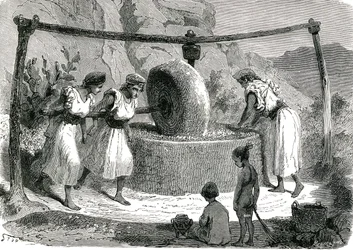 Moulin à olives en Algérie 1885