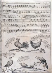 Page de Musurgia (1650)