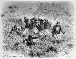 Passage de la Chisera par Livingstone et ses porteurs - "Le dernier voyage de Livingstone 1866-1873" dans "Le Tour du Monde", 2ème semestre 1875