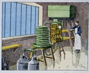 Pasteurisation du lait