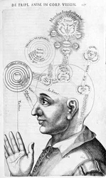 Image de physiognomonie (phrénologie) de Collectio Operum par Robert Fludd (Robertus de Fluctibus). Londres 1617