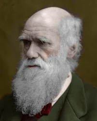 Portrait de Charles Darwin