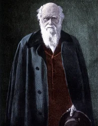 Portrait de Charles Darwin, naturaliste britannique (1809 - 1882)