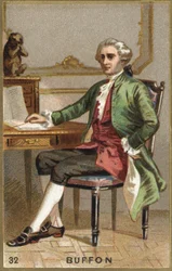 Portrait de Georges Louis Leclerc, Comte de Buffon (1707 - 1788), naturaliste et écrivain français