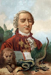 Portrait de Georges Louis Leclerc, comte de Buffon (1707-1788), naturaliste et écrivain français. Chromolithographie du XIXe siècle. de « La Ciencia y sus Hombres » par Louis Figuier. Barcelone 1881