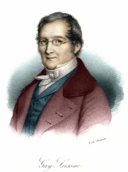 Portrait de Louis-Joseph Gay-Lussac (Louis Joseph Gay Lussac) (1778-1850), physicien et chimiste français. Gravure du 19e siècle