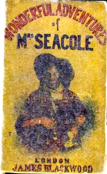Portrait de Mary Jane Seacole (1805 - 14 mai 1881), née Grant. Femme née en Jamaïque d