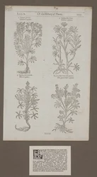 Page imprimée 1217 de 