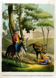 Proverbe : Mieux vaut être porté par un âne que jeté par un cheval.