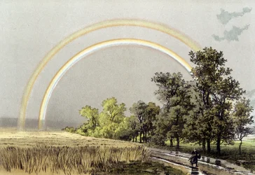 Arc-en-ciel - dans "L
