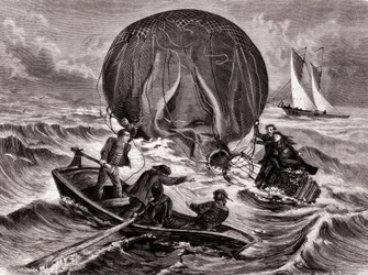 Sauvetage du bal Habs, monté par M. et Mme Durouf. Naufragé sur la côte d