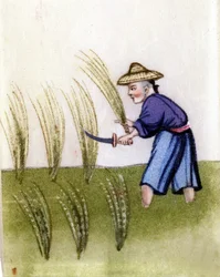 Culture du riz en Chine. Peinture sur papier de riz.