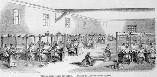 Manufacture royale de tabac : atelier de fabrication de cigares. Gravure du 19e siècle.