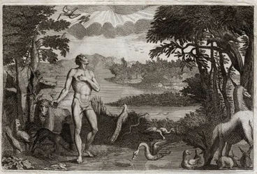 Bible de Royaumont, Ancien Testament : Création de l