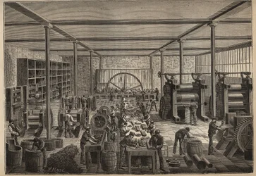 Caoutchouc : usine de caoutchouc. Gravure de 1885 dans « Les arts et métiers illustrés » par Adolphe Bitard