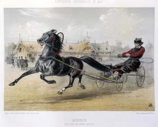 Trotteur de race Orloff - dans "Le Centaure" 1867